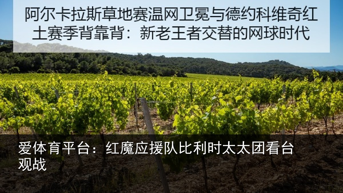 爱体育平台：红魔应援队比利相关情况