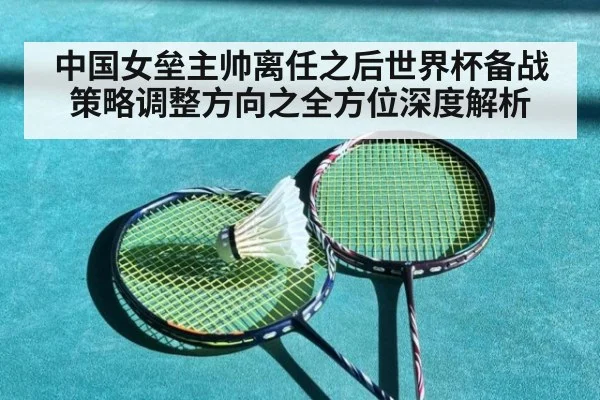 中国女垒主帅离任之后世界杯备战策略调整方向之全方位深度解析